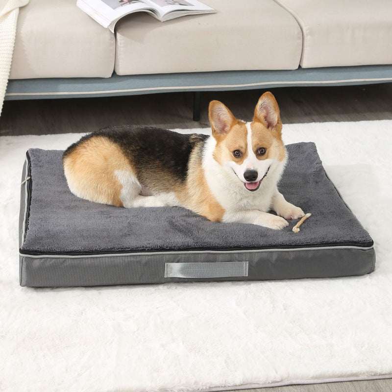 Aura Cloud-Support Relief Bed for Aging Dogs