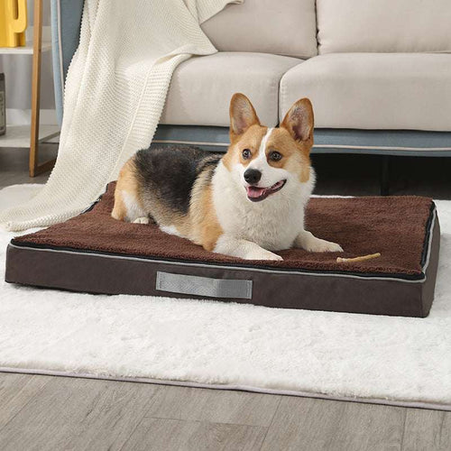 Aura Cloud-Support Relief Bed for Aging Dogs