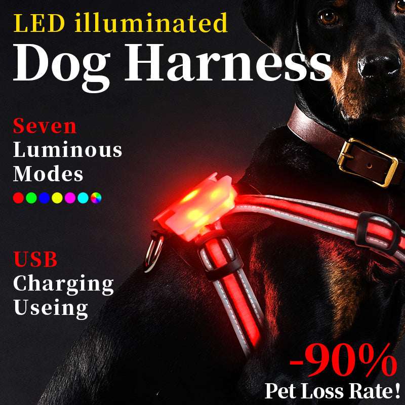 ChromaGlow 7-Color Changing LED Pet Harness - Multicolor USB Rechargeable Safety Vest with Leash