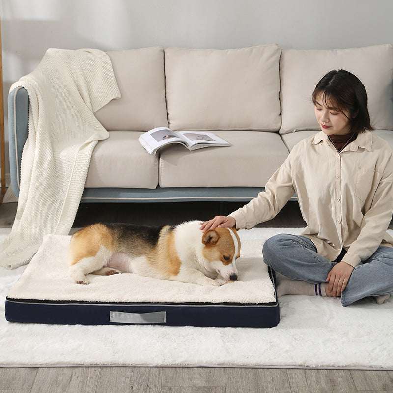 Aura Cloud-Support Relief Bed for Aging Dogs