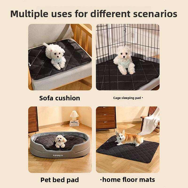Aura Elite Reusable Pet Pad Pro