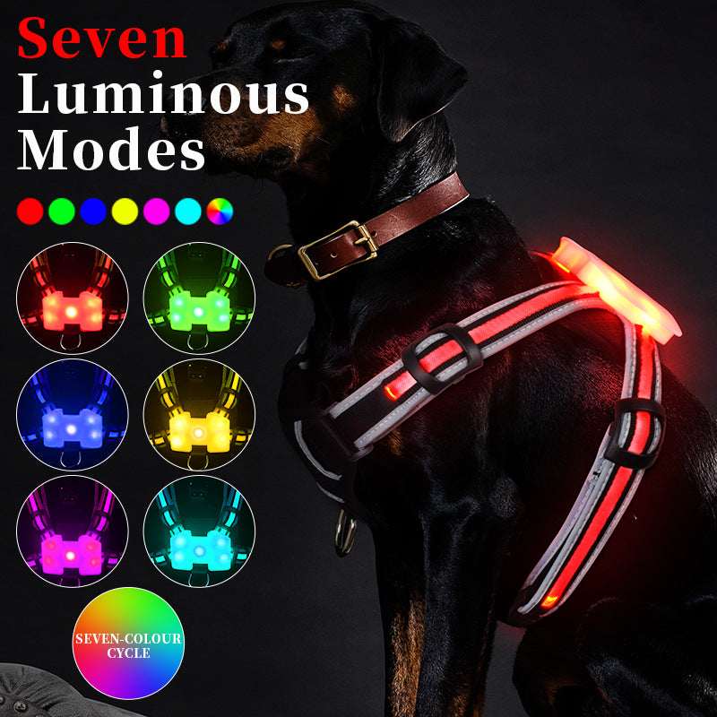 ChromaGlow 7-Color Changing LED Pet Harness - Multicolor USB Rechargeable Safety Vest with Leash