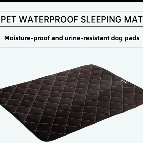 Aura Elite Reusable Pet Pad Pro